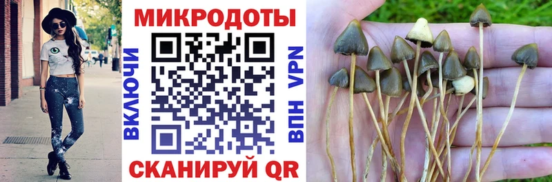 наркошоп  Ленинск  Галлюциногенные грибы Cubensis 